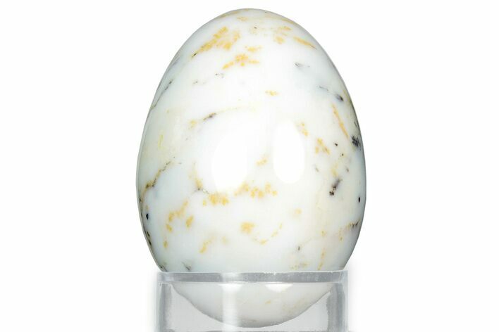 Polished Moss Agate Egg - Australia #326804